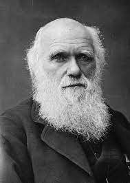 Charles Darwin - naturalista